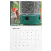 Unser Yard Kalender (Mär 2027)