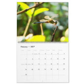 Unser Yard Kalender (Feb 2027)