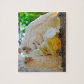 Unsere australischen Feathered Friends Puzzle (Vertikal)
