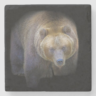 Unsere Brun Grizzly Animal Vie Sauvage Forêt Jungl Steinuntersetzer