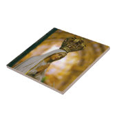 Unsere Dame von Fatima Fliese (Seite)