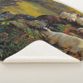 Unsere englische Küste oder Strayed Sheep William Sherpadecke (3/4)