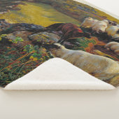 Unsere englische Küste oder Strayed Sheep William Sherpadecke (3/4)