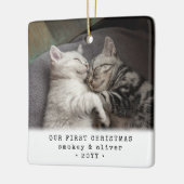 Unsere ersten Weihnachten 2 Katzen oder irgendein  Keramikornament (Links)