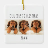 Unsere ersten Welpenhunde Weihnachten Panorama-Fot Keramikornament (Vorderseite)