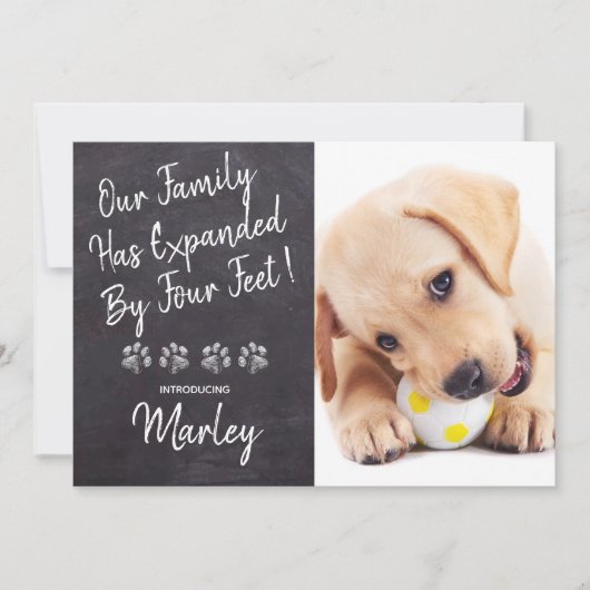 Unsere Familie vier Meter neue Hunde-Welpendusche Einladung (Vorderseite)