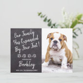 Unsere Familie wurde um vier Meter neuen Hund für Ankündigung (Stehend Vorderseite)