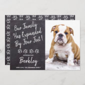 Unsere Familie wurde um vier Meter neuen Hund für Ankündigung (Vorne/Hinten)