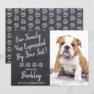 Unsere Familie wurde um vier Meter neuen Hund für  Ankündigung