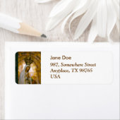 Unsere Frau von Fatima (Insitu)