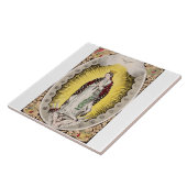 Unsere Frau von Guadalupe Fliese (Seite)