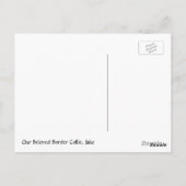 Unsere geliebte Grenze Collie Jake - Postkarte (Rückseite)