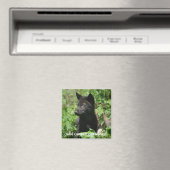 UNSERE GRAUEN WOLVES Wildlife Black Wolf Pup geret Magnet (In Situ (Geschirrspüler))
