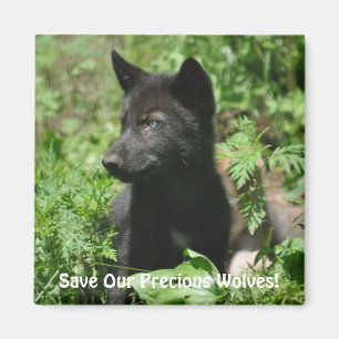UNSERE GRAUEN WOLVES Wildlife Black Wolf Pup geret Magnet
