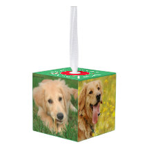 Unsere Haustiere 5 Foto Cube Ornament