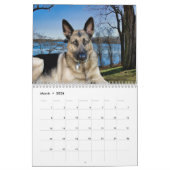 Unsere Haustiere Kalender, Hunde am besten Kalender (Mär 2026)