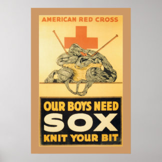 Unsere Jungen brauchen Sox Poster