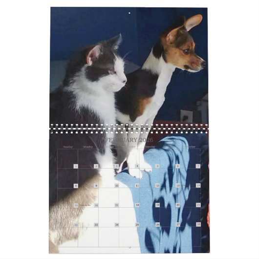 Unsere Katzen 2022 Personalisierter Kalender (Feb 2026)
