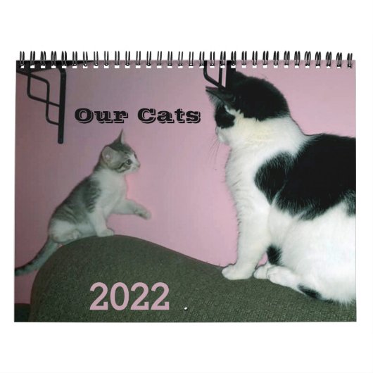 Unsere Katzen 2022 Personalisierter Kalender (Titelbild)