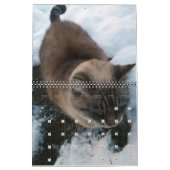 Unsere Katzen Personalisierter Kalender (Jan 2027)