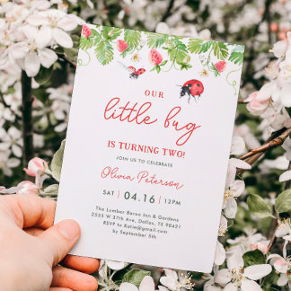Unsere kleine Ladybug Girl Birthday Party Einladung