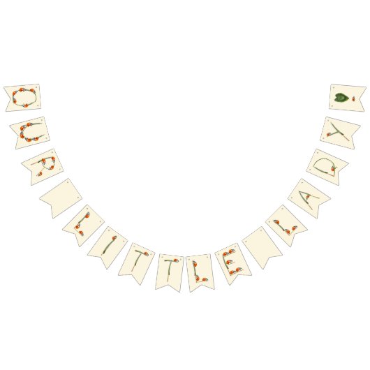 Unsere kleine Ladybug macht einen - den ersten Geb Wimpelkette (Alle)