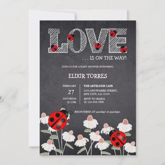 Unsere kleine Liebe Bug Chalkboard Babydusche Einladung (Vorderseite)