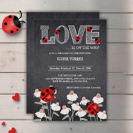 Unsere kleine Liebe Bug Chalkboard Babydusche Einladung