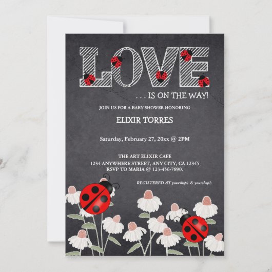 Unsere kleine Liebe Bug Chalkboard Babydusche Einladung (Vorderseite)