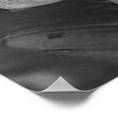 Unsere Miss Liberty Poster (Ecke)