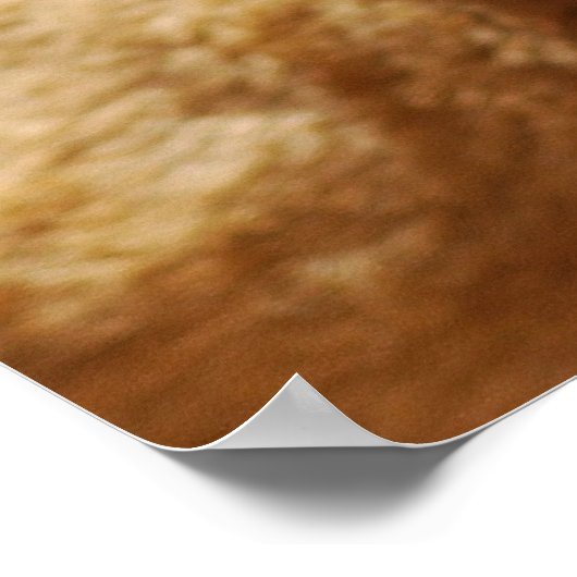 Unsere niedlichen Löwenfronten Poster (Ecke)