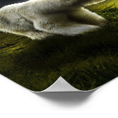 Unsere Polaire Poster (Ecke)