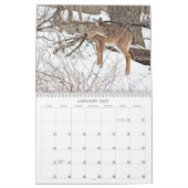 Unsere schöne Welt #7 Kalender (Jan 2027)