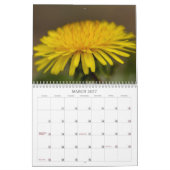 Unsere schöne Welt #7 Kalender (Mär 2027)