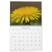 Unsere schöne Welt #7 Kalender (Mär 2026)