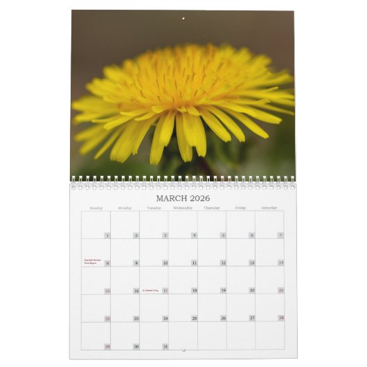 Unsere schöne Welt #7 Kalender (Mär 2026)