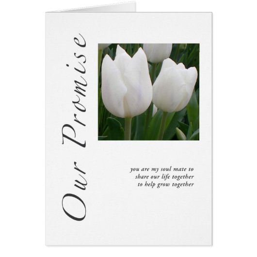 Unsere Versprechen-Tulpen (Vorne)