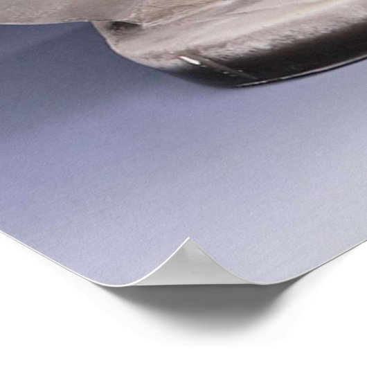 Unsere Wullie Rare 1960 Plaster-Abbildung drucken Poster (Ecke)