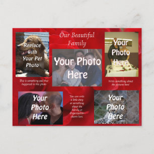 Unsere wunderschönen Fotos über Rote Rosen Postkarte