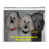 Unsere wunderschönen Standard Poodles 2011 Kalender (Titelbild)