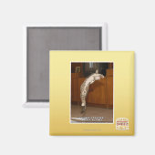 Unsichtbar 3 Zeiger Magnet (Vorderseite/Rückseite)