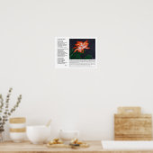 Unsichtbar Poster (Küche)