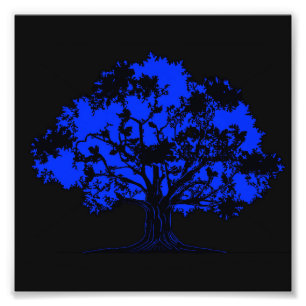 Unsichtbare Eiche Fotodruck