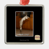 Unsichtbarer 3 Pointer Ornament Aus Metall (Vorne)