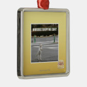 UNSICHTBARER EINKAUFSWAGEN SILBERNES ORNAMENT (Rechts)