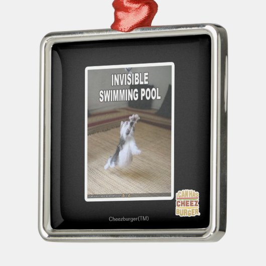 Unsichtbarer Pool Silbernes Ornament (Links)