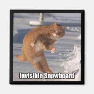 unsichtbarer Snowboardmagnet Magnet