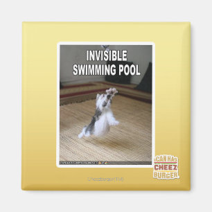 Unsichtbarer Swimmingpool Magnet
