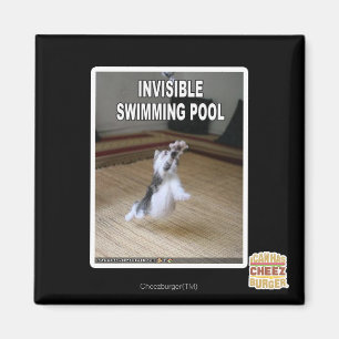 Unsichtbarer Swimmingpool Magnet