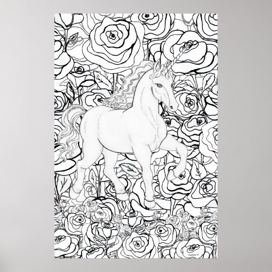 Unsichtbares Einhorn Poster (Vorne)
